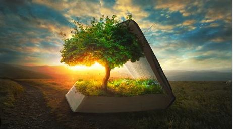 tree of life