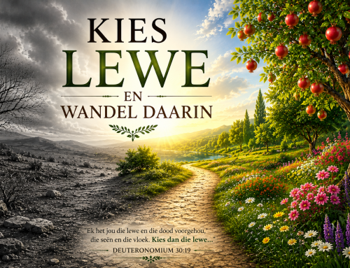 STAAN, KIES EN WANDEL : NITZAVIM – VAYELECH